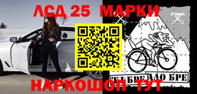 стаф Шахты