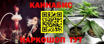 стаф Шахты