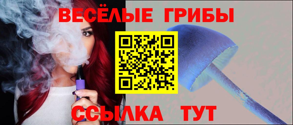 Комсомольск-на-Амуре  Псилоцибиновые грибы Psilocybe  хочу наркоту  Вход с VPN 